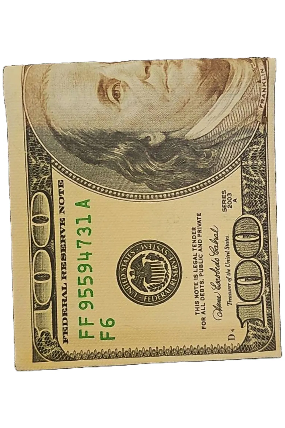 100 US Dollar Bill Bifold Wallet