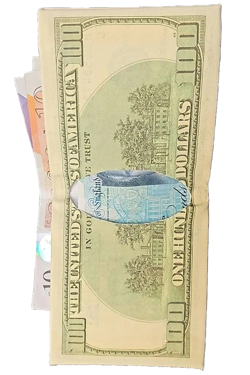 100 US Dollar Bill Bifold Wallet