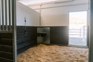 Additional Shavings