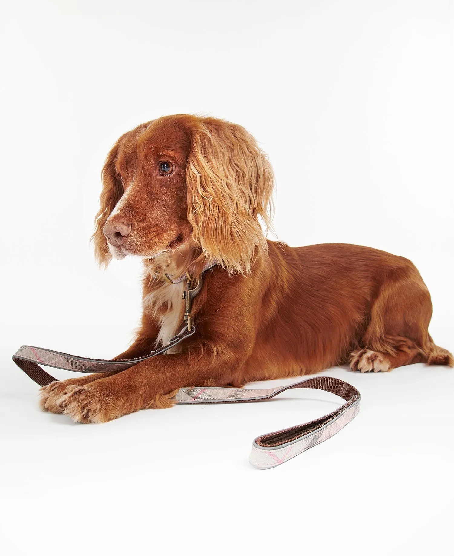 Barbour Reflective Tartan Dog Leash