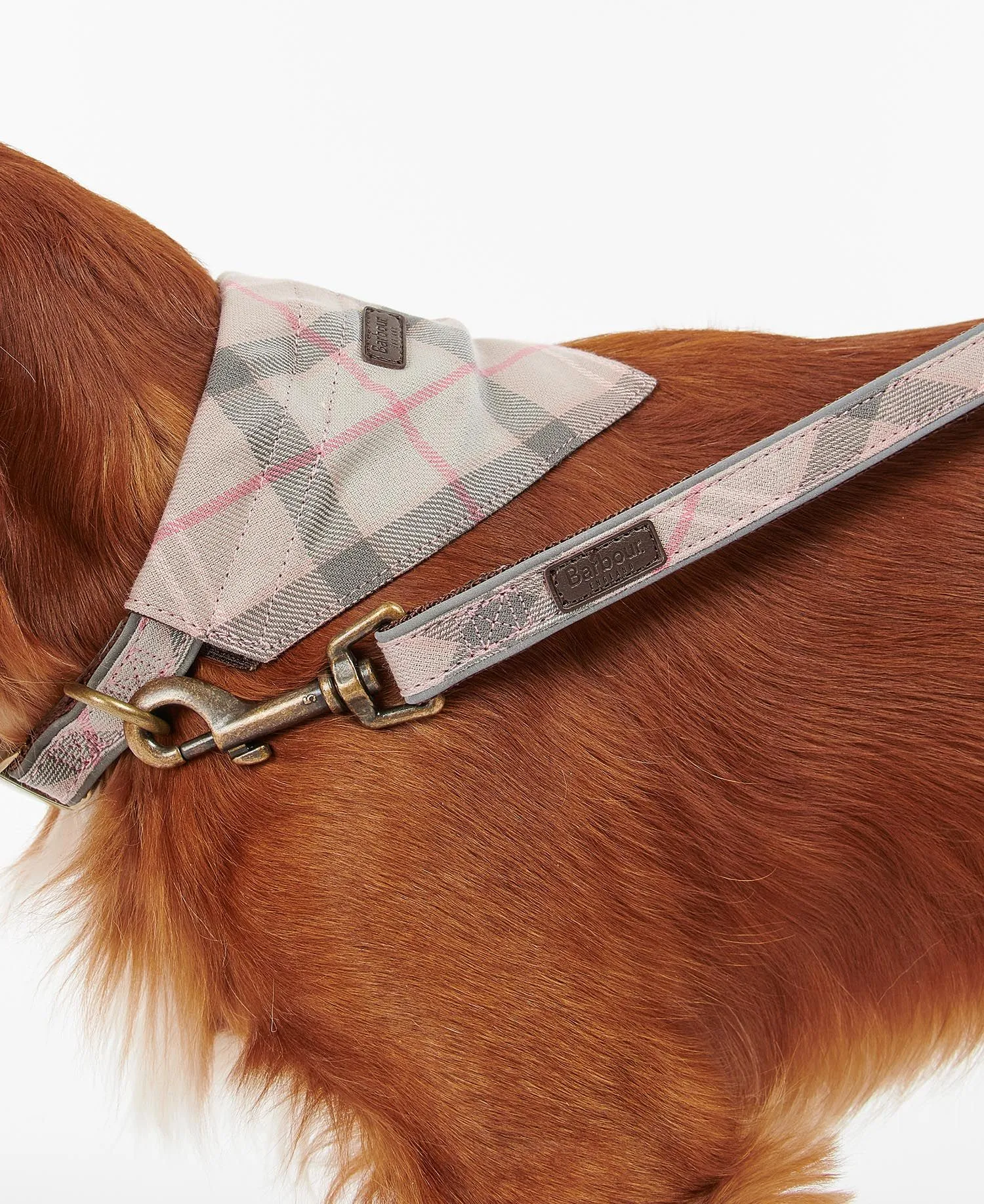 Barbour Reflective Tartan Dog Leash