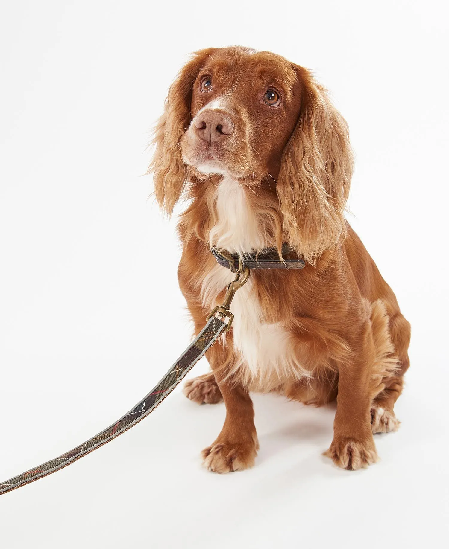 Barbour Reflective Tartan Dog Leash