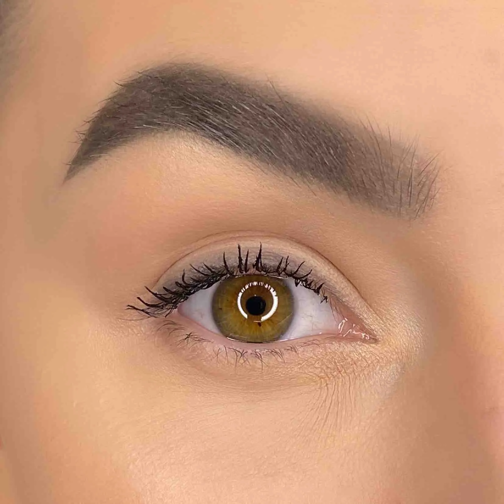 Bawse Brow Kit|Waterproof- Coffee
