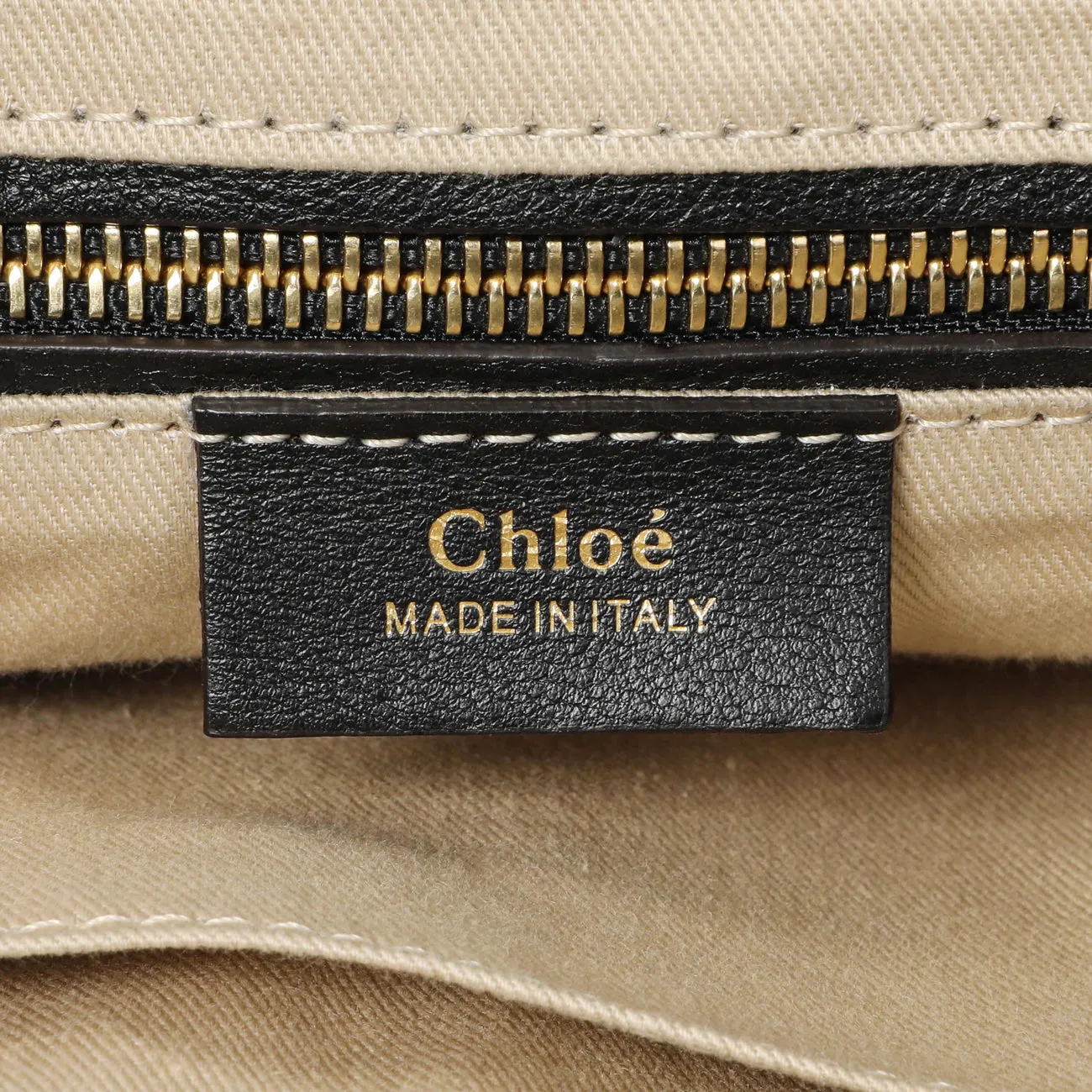 Chloe Black Suede Calfskin Small Faye Backpack