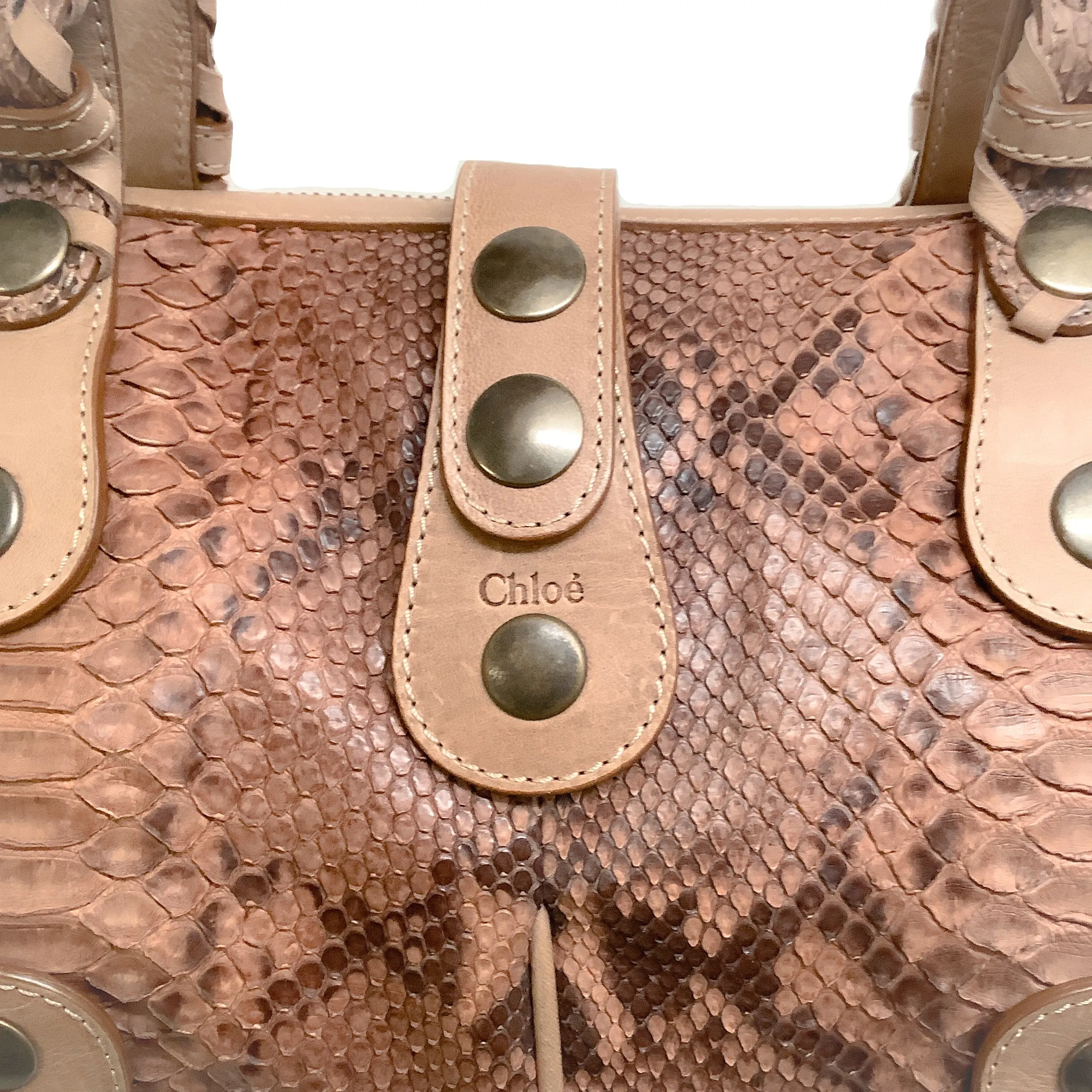 Chloe Brown Snake Silverado Shoulder Bag