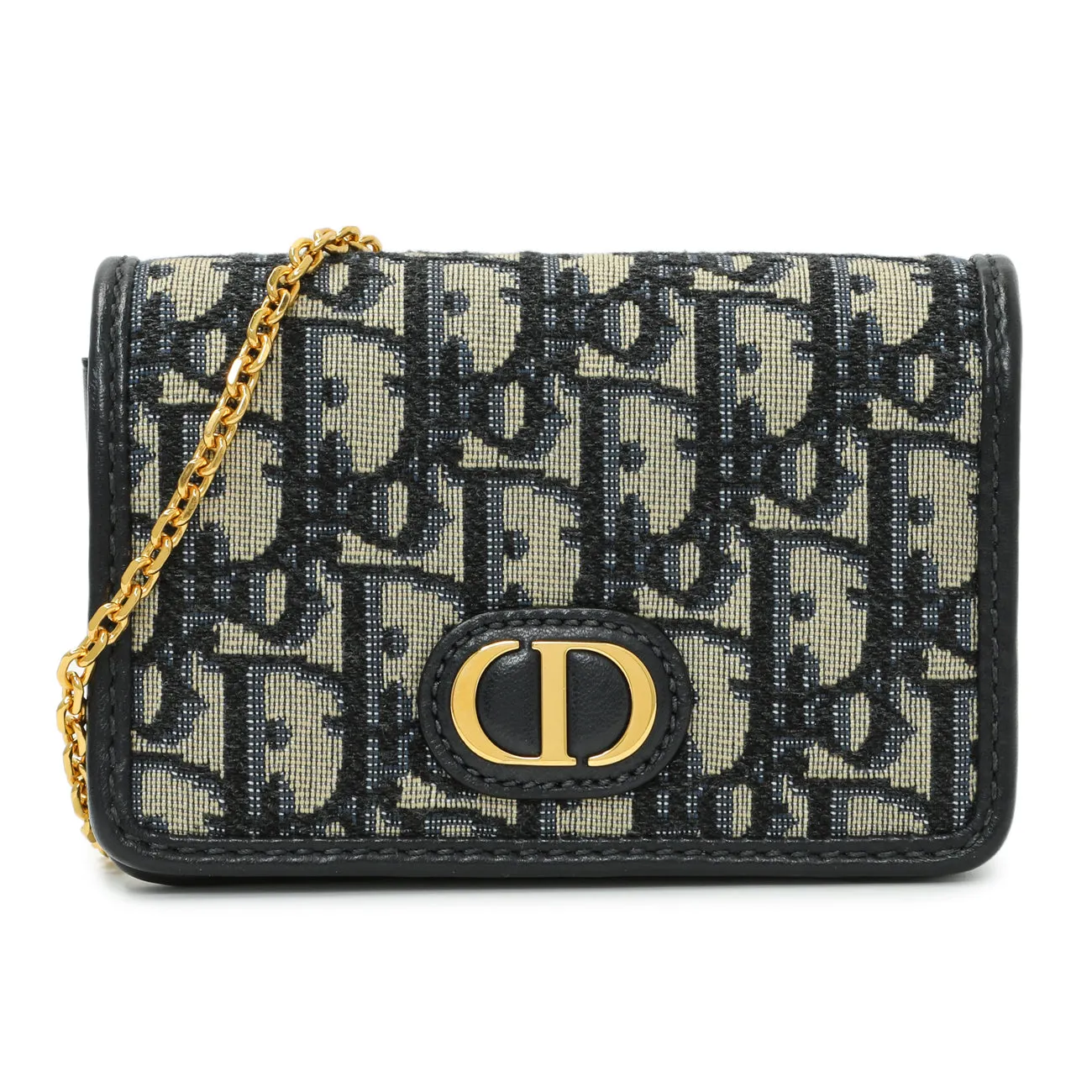 Christian Dior Blue Oblique Nano 30 Montaigne Pouch