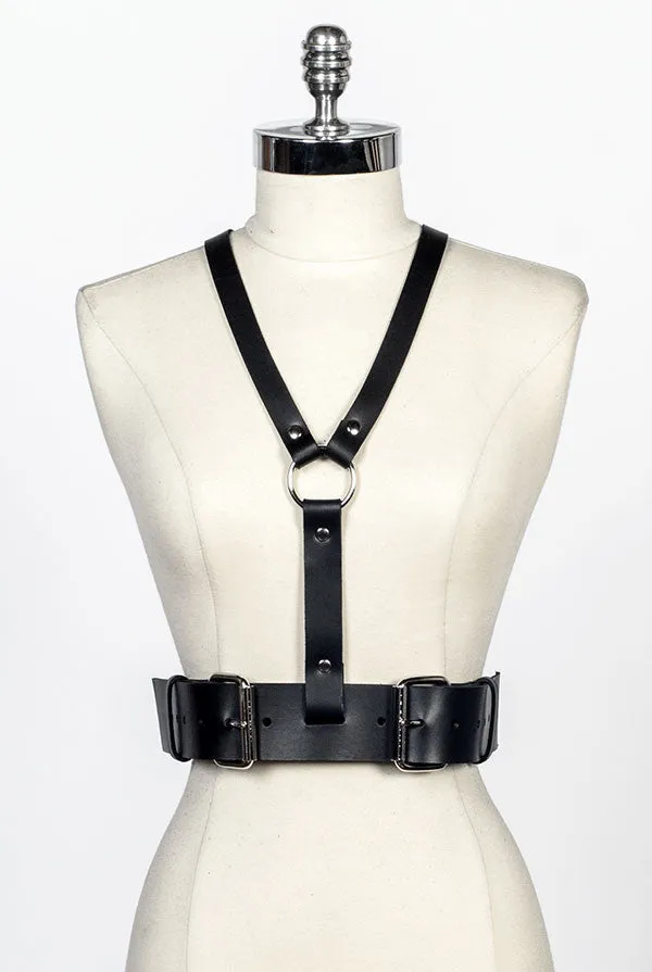 Gemini Harness