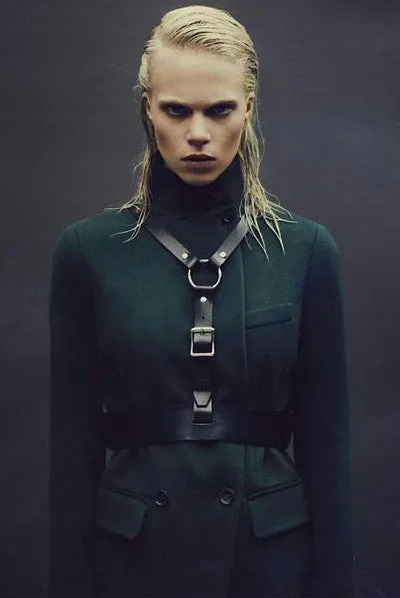 Gemini Harness