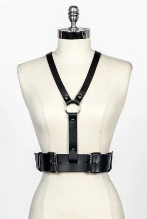 Gemini Harness