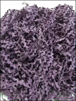Grape Fizz Rick Rack - Lady Dots Creates Finishing Trims