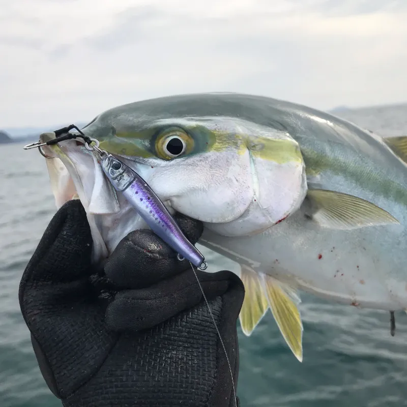 Little Jack Jig METAL ADICT Type-04 150g