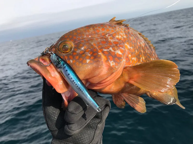 Little Jack Jig METAL ADICT Type-04 150g