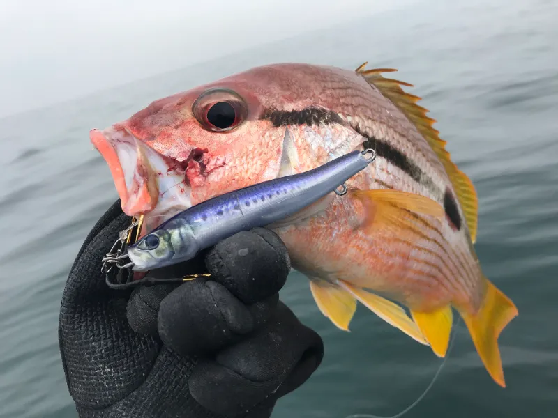 Little Jack Jig METAL ADICT Type-04 150g