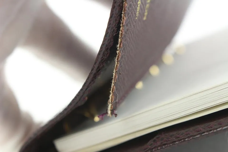 Louis Vuitton Bordeaux Taiga Leather Small Ring Agenda PM Diary Cover 5lvs114