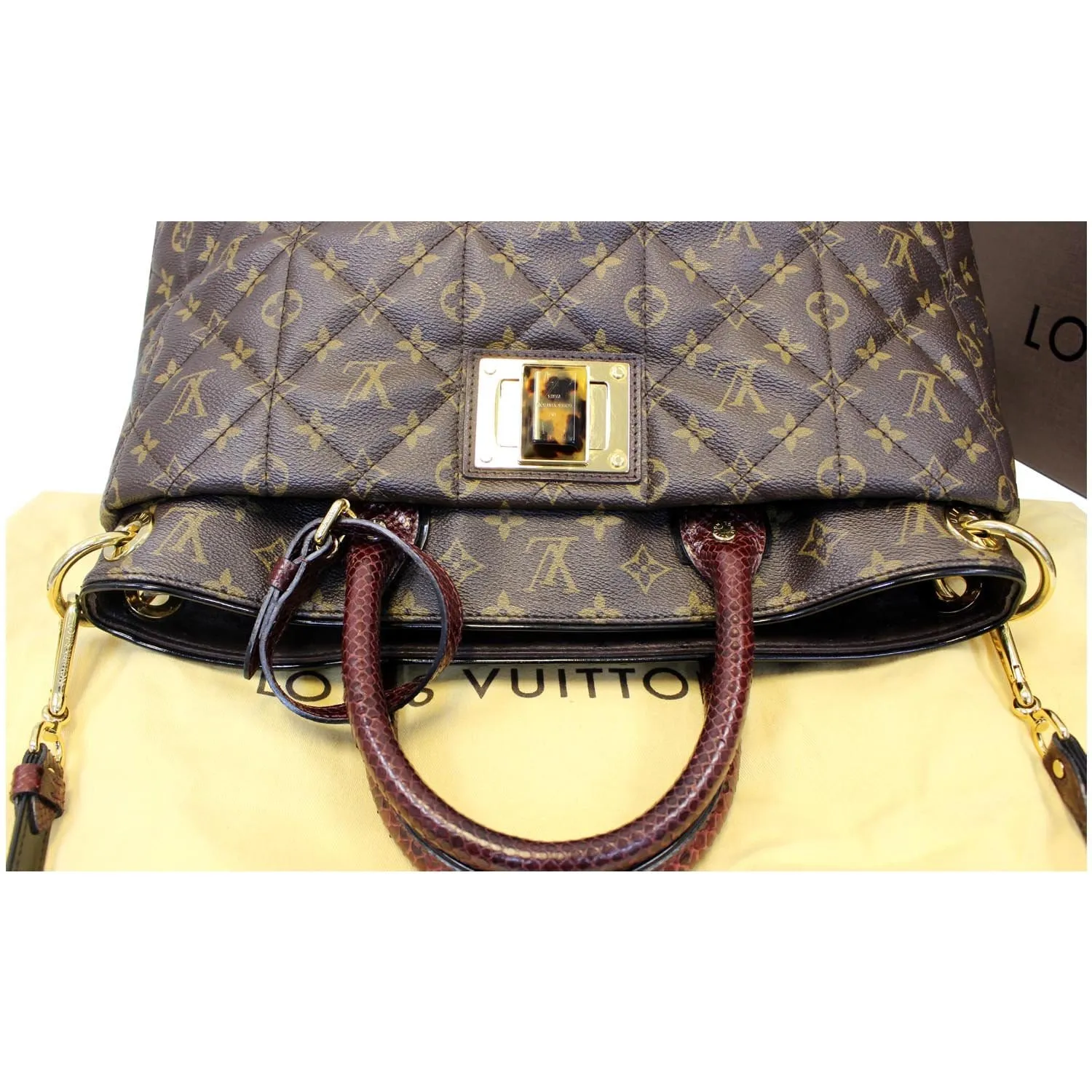 LOUIS VUITTON Etoile GM Exotique Monogram Tote Shoulder Bag Brown