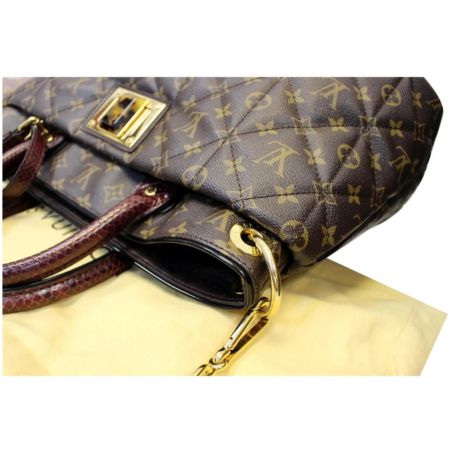 LOUIS VUITTON Etoile GM Exotique Monogram Tote Shoulder Bag Brown