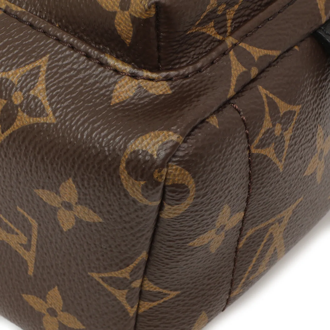 Louis Vuitton Monogram Palm Springs Backpack Mini