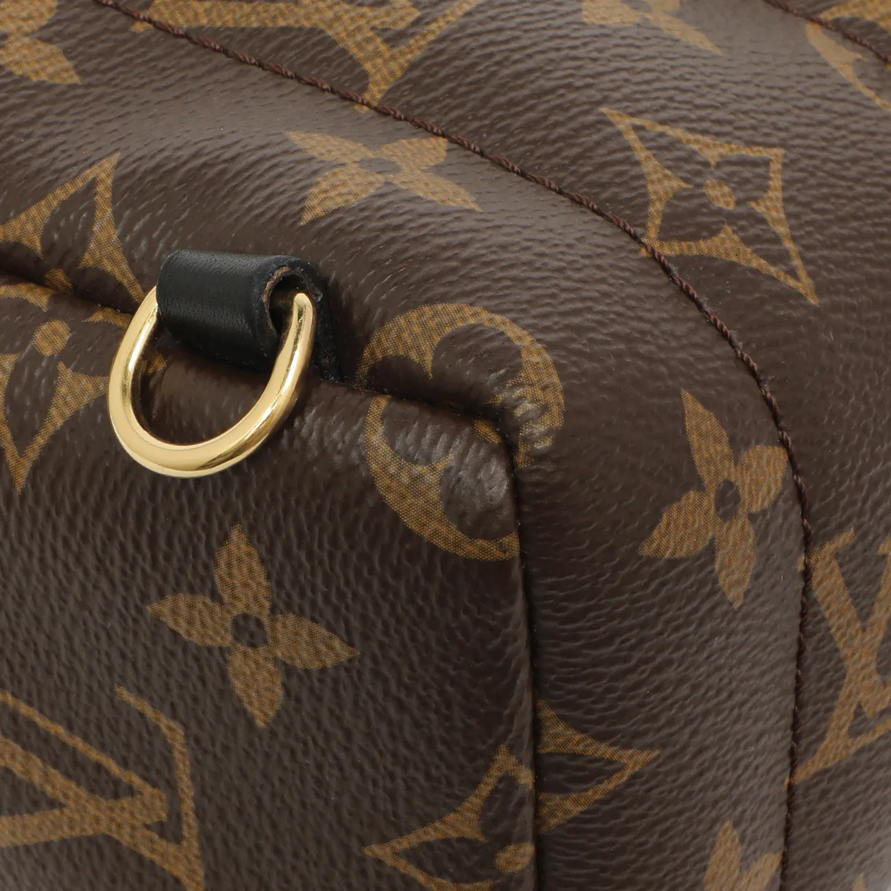 Louis Vuitton Monogram Palm Springs Backpack Mini