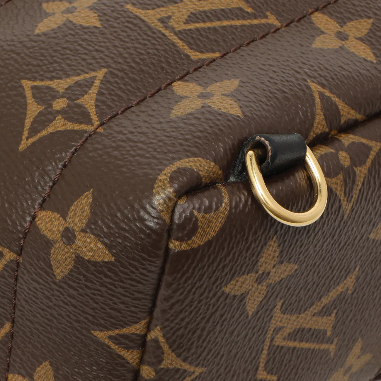 Louis Vuitton Monogram Palm Springs Backpack Mini