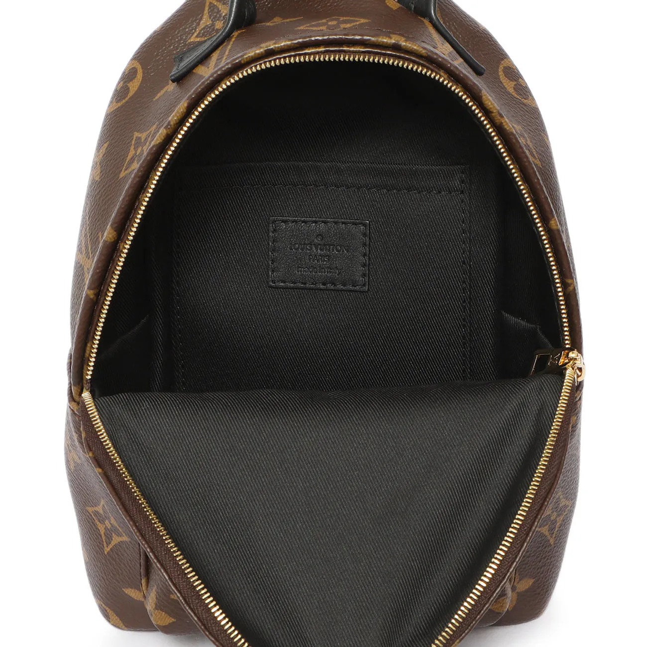 Louis Vuitton Monogram Palm Springs Backpack Mini