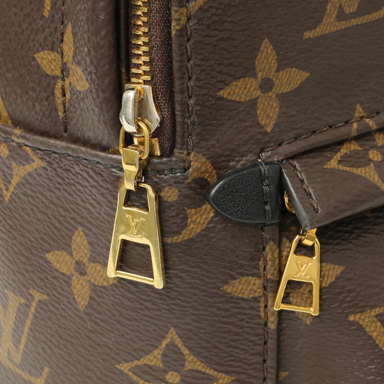 Louis Vuitton Monogram Palm Springs Backpack Mini