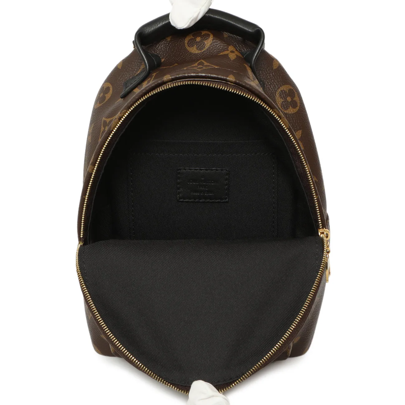 Louis Vuitton Monogram Palm Springs Backpack Mini