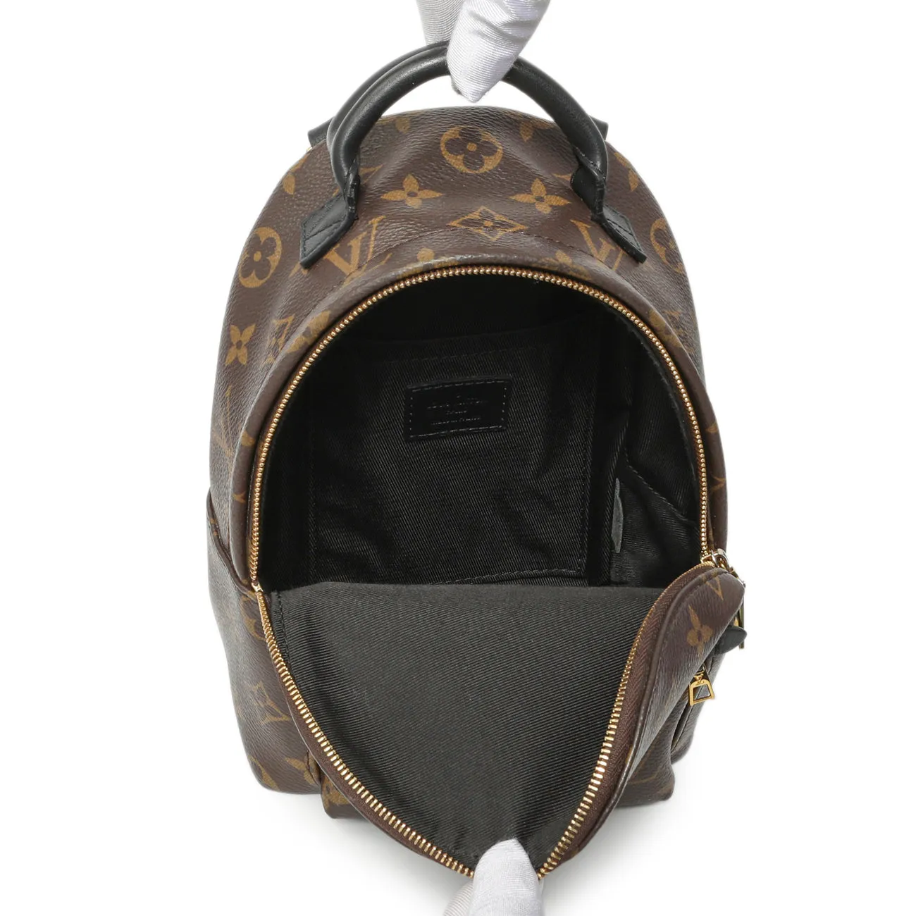 Louis Vuitton Monogram Palm Springs Backpack Mini