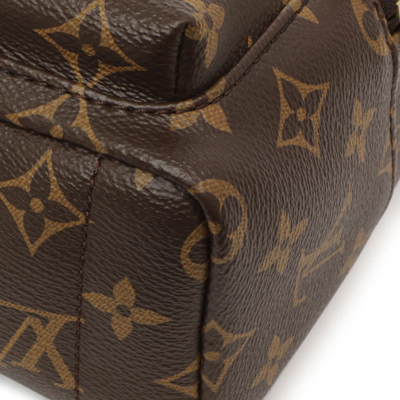 Louis Vuitton Monogram Palm Springs Backpack Mini