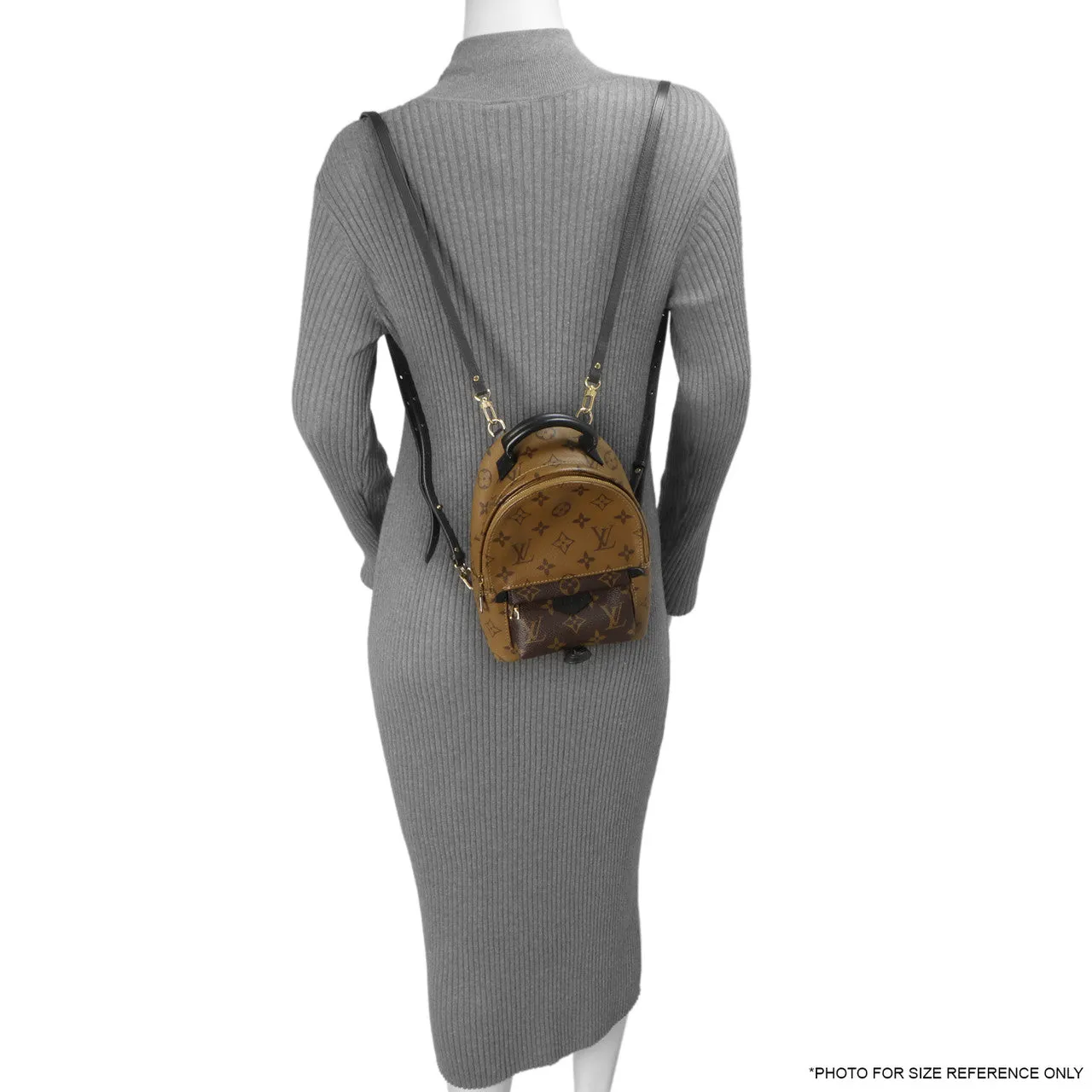 Louis Vuitton Reverse Monogram Palm Springs Backpack     Mini