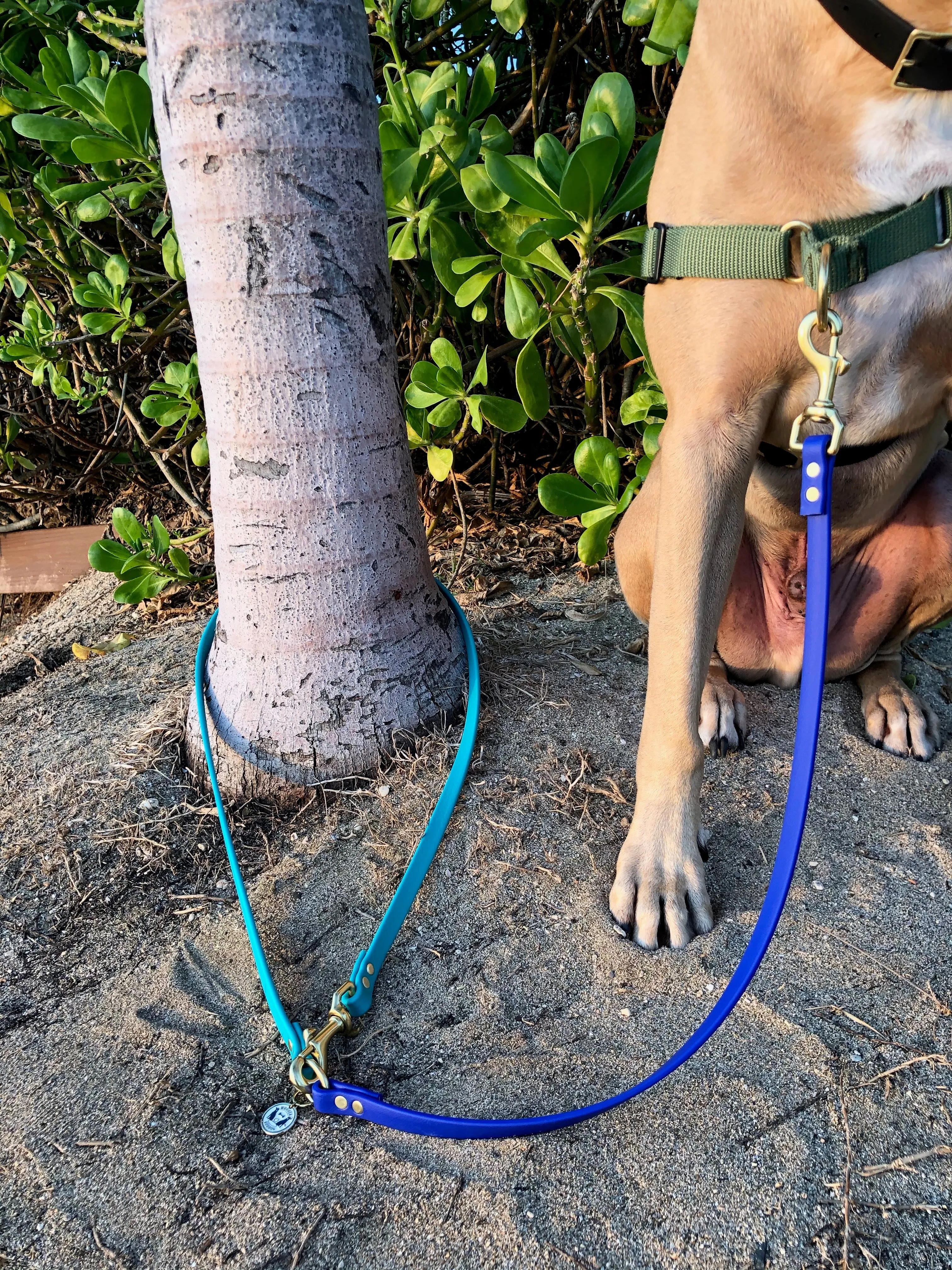 Multi-Way Waterproof Leash: Teal   Royal   Brass