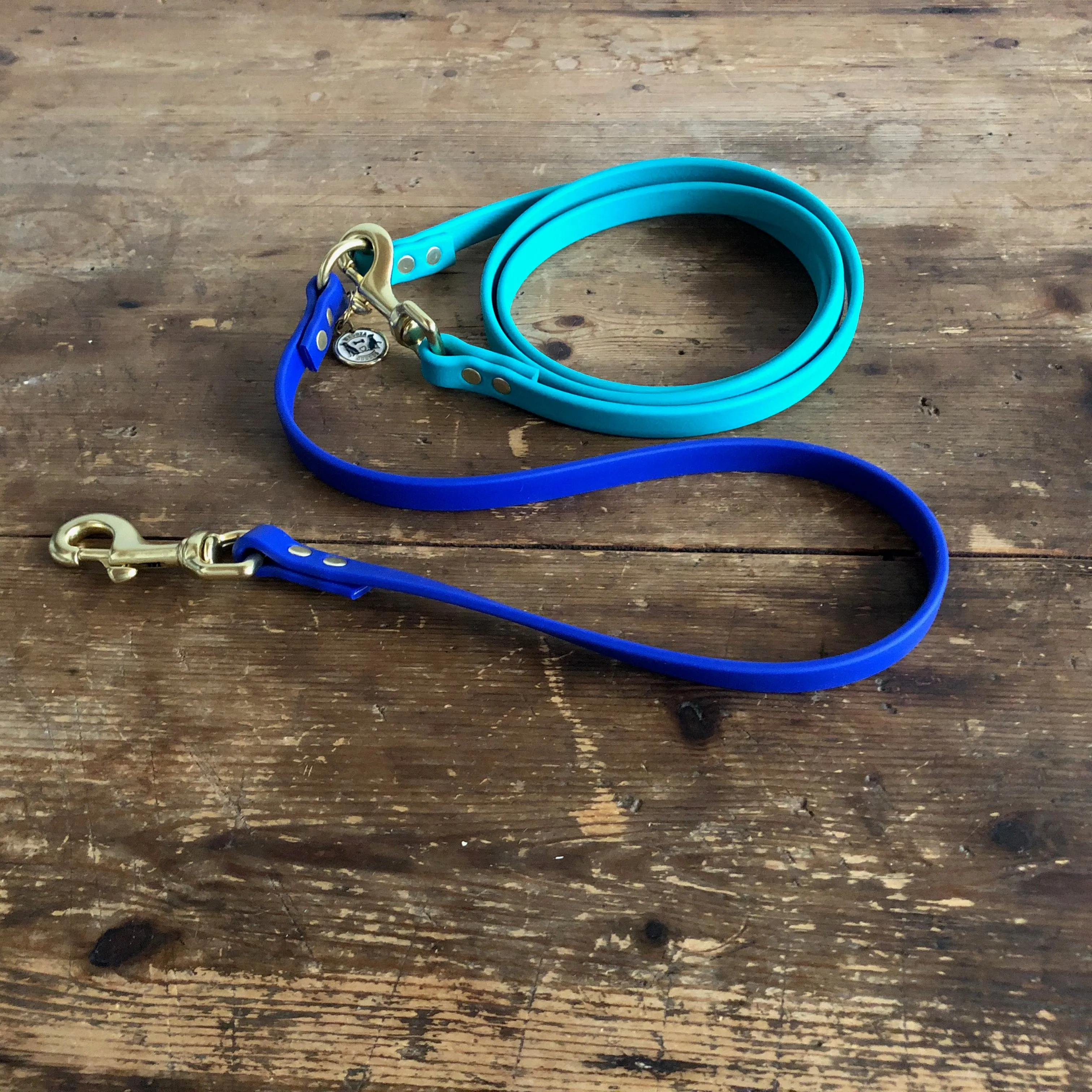 Multi-Way Waterproof Leash: Teal   Royal   Brass