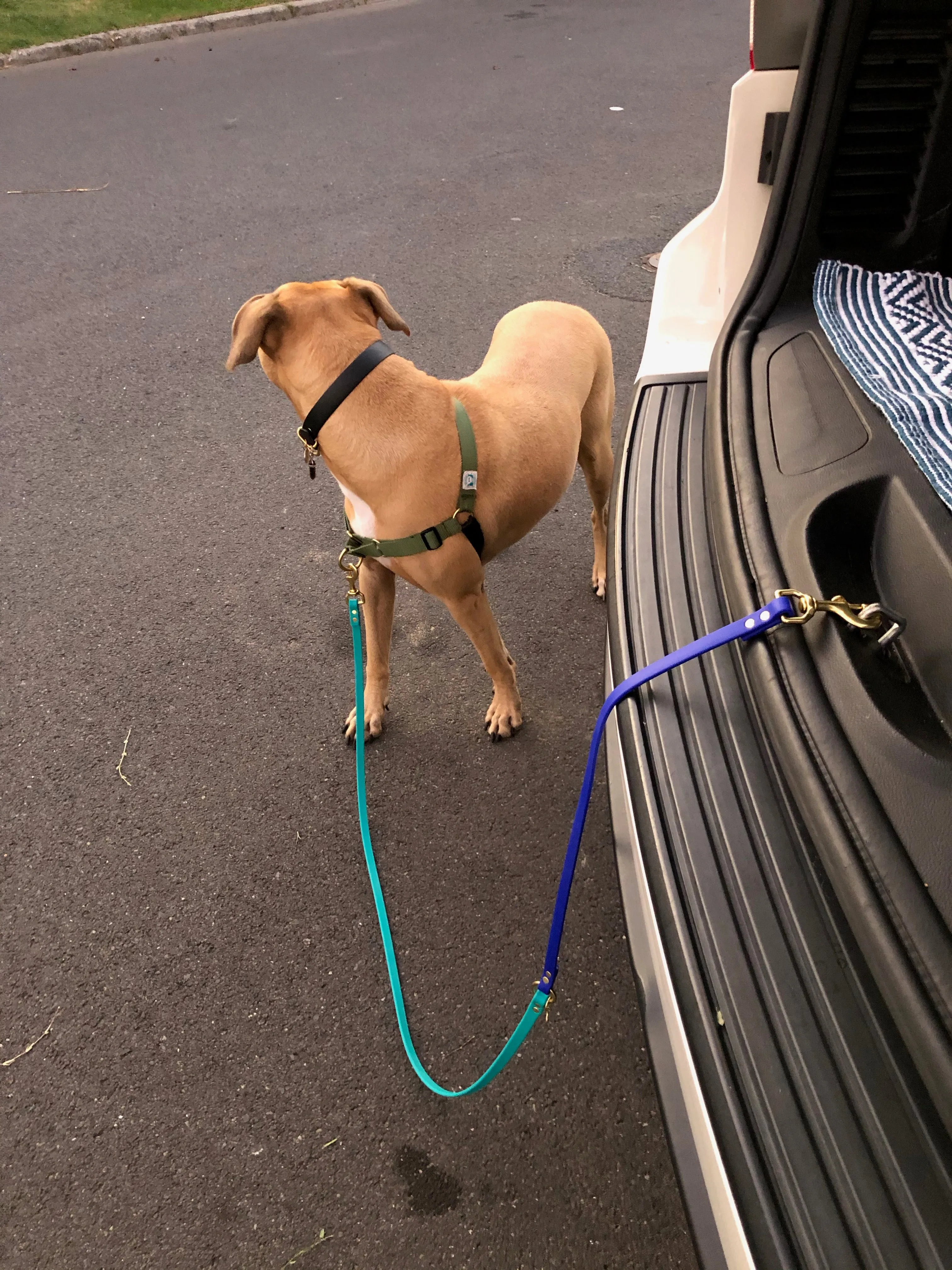 Multi-Way Waterproof Leash: Teal   Royal   Brass