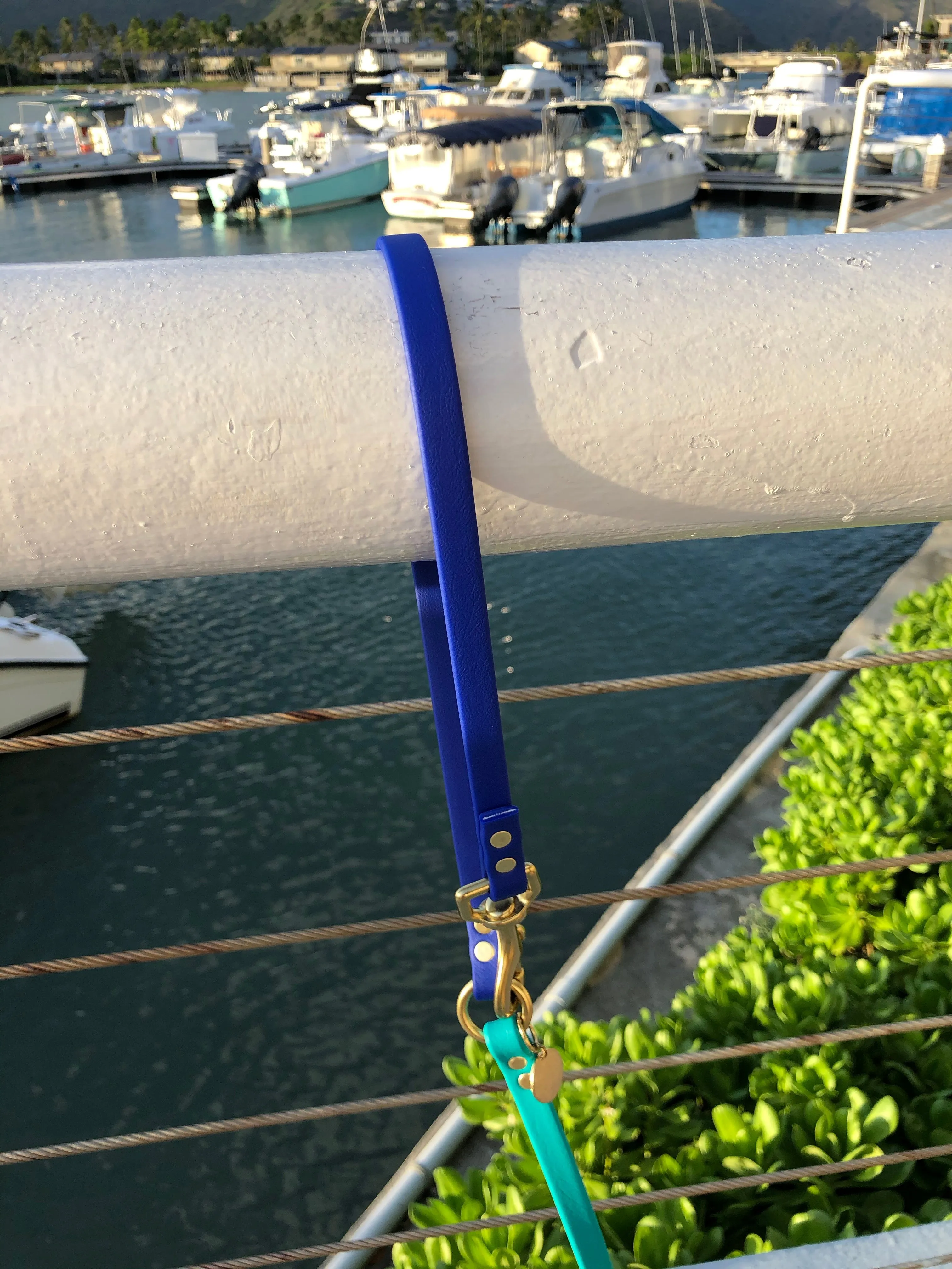 Multi-Way Waterproof Leash: Teal   Royal   Brass