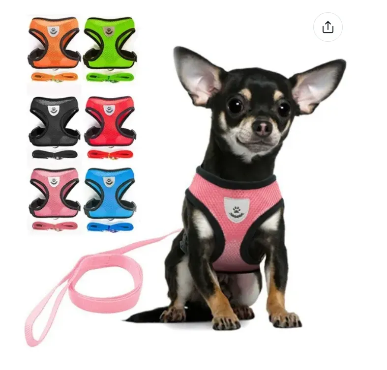 Pet Harness and Leash Set Cat and Dog Walking Soft Mesh Breathable Adjustable Vest for Kitten Puppy Dog Leash Chest Strap Pet Supplies (Size S M L XL)