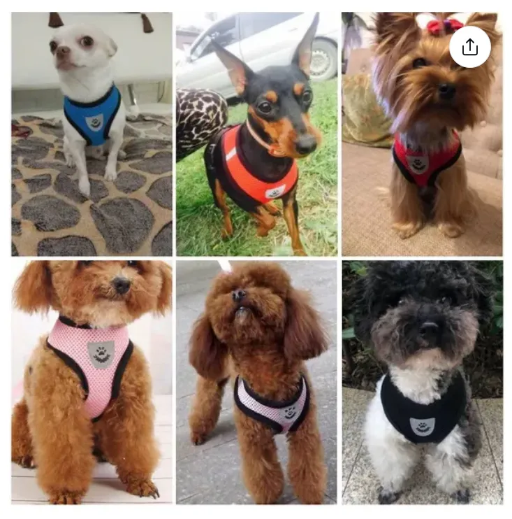 Pet Harness and Leash Set Cat and Dog Walking Soft Mesh Breathable Adjustable Vest for Kitten Puppy Dog Leash Chest Strap Pet Supplies (Size S M L XL)