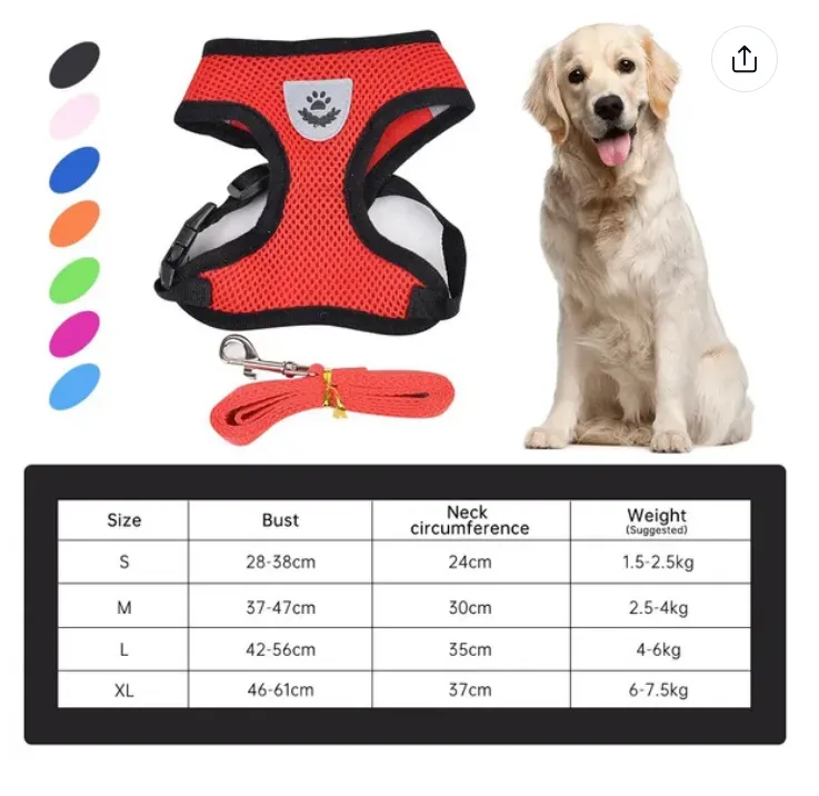 Pet Harness and Leash Set Cat and Dog Walking Soft Mesh Breathable Adjustable Vest for Kitten Puppy Dog Leash Chest Strap Pet Supplies (Size S M L XL)