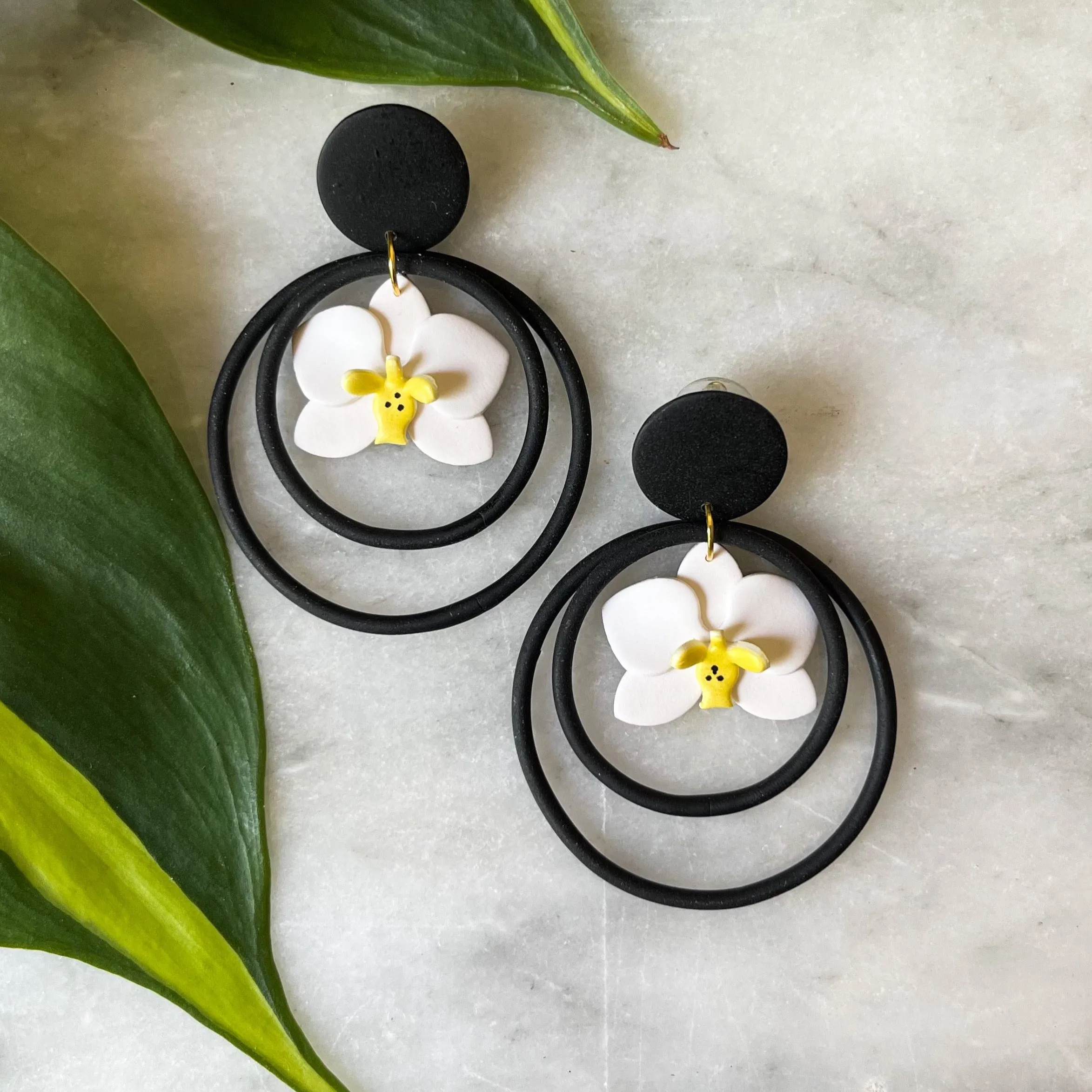 Phalaenopsis Hoops
