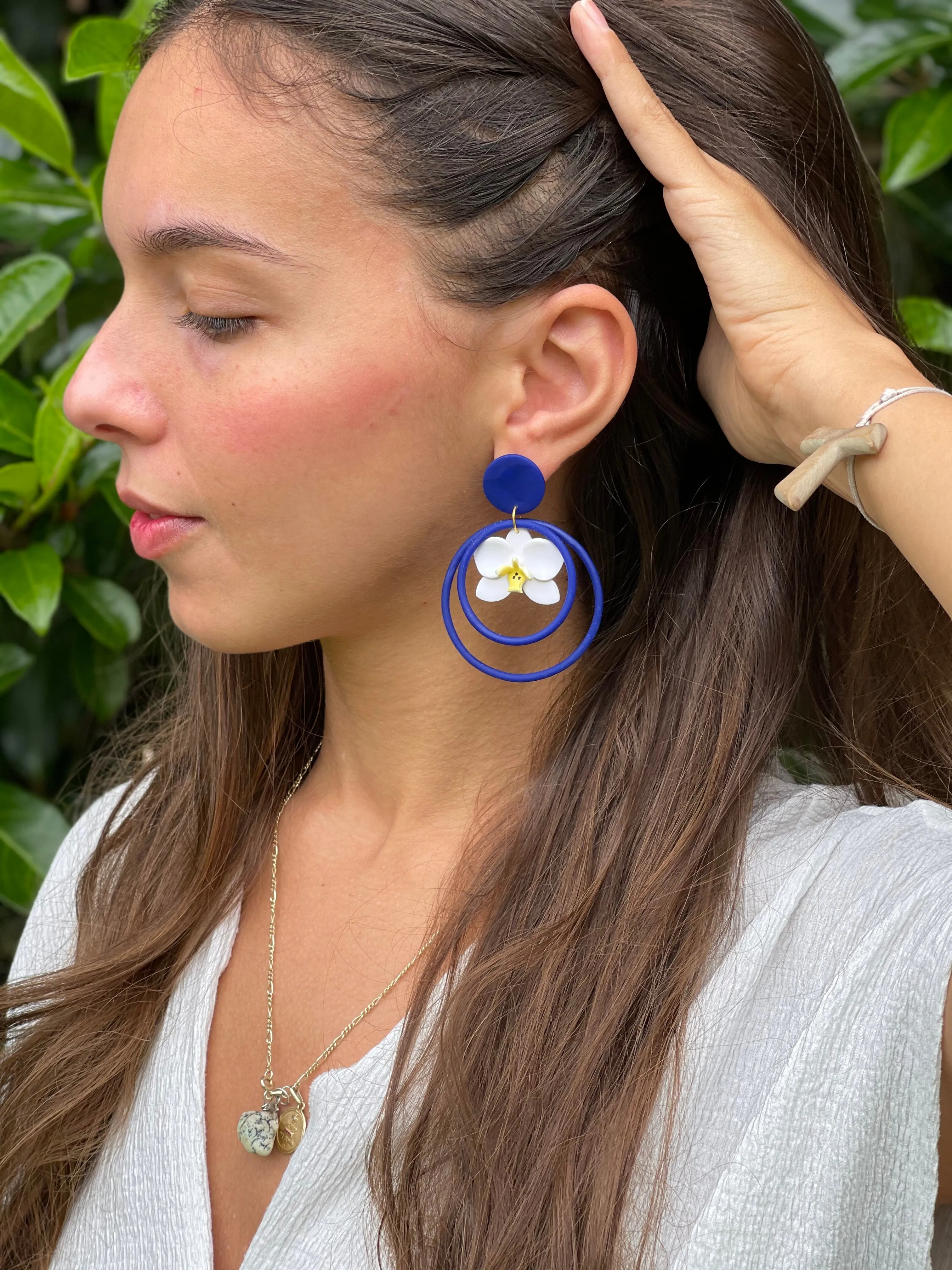 Phalaenopsis Hoops