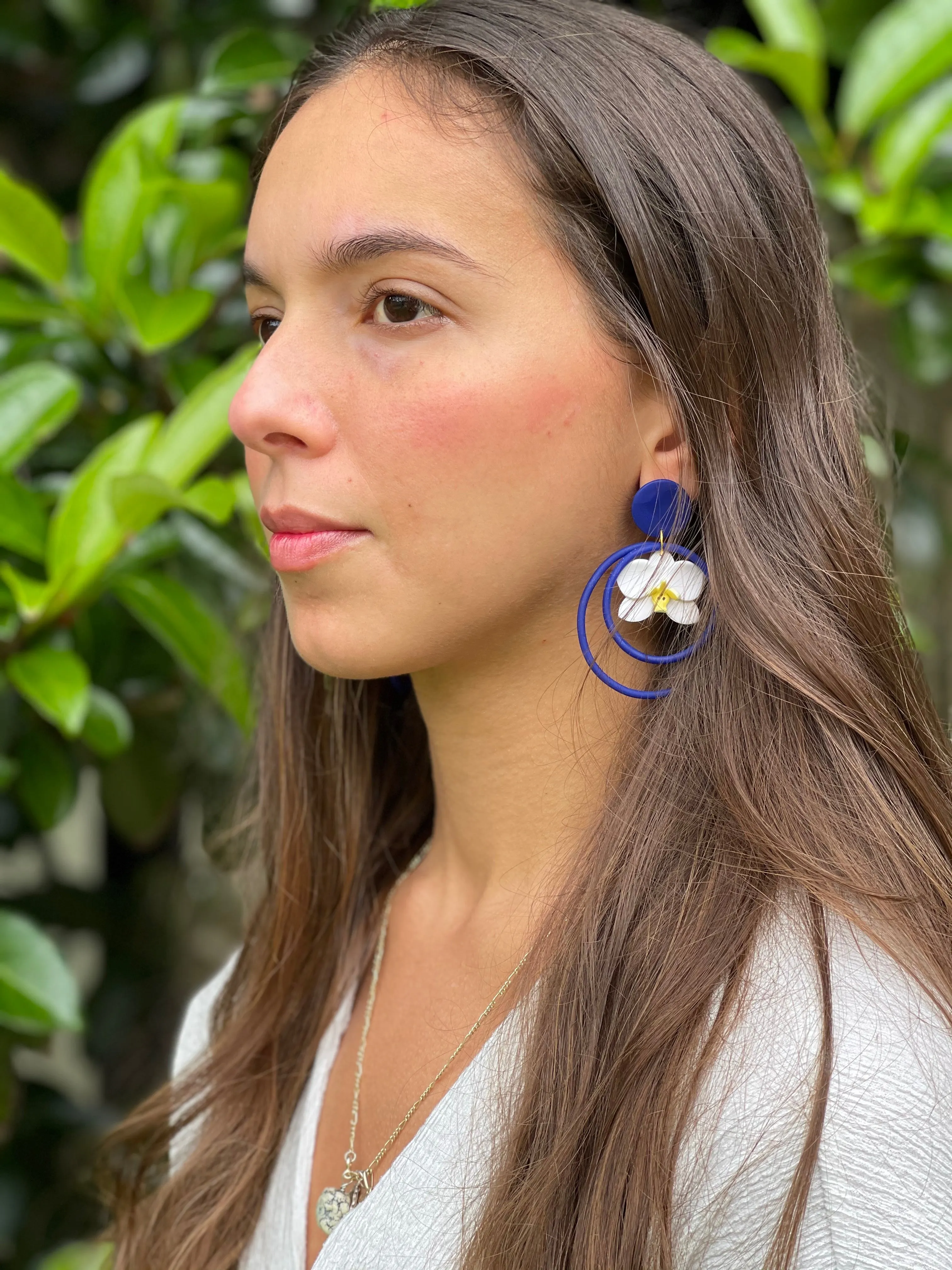 Phalaenopsis Hoops