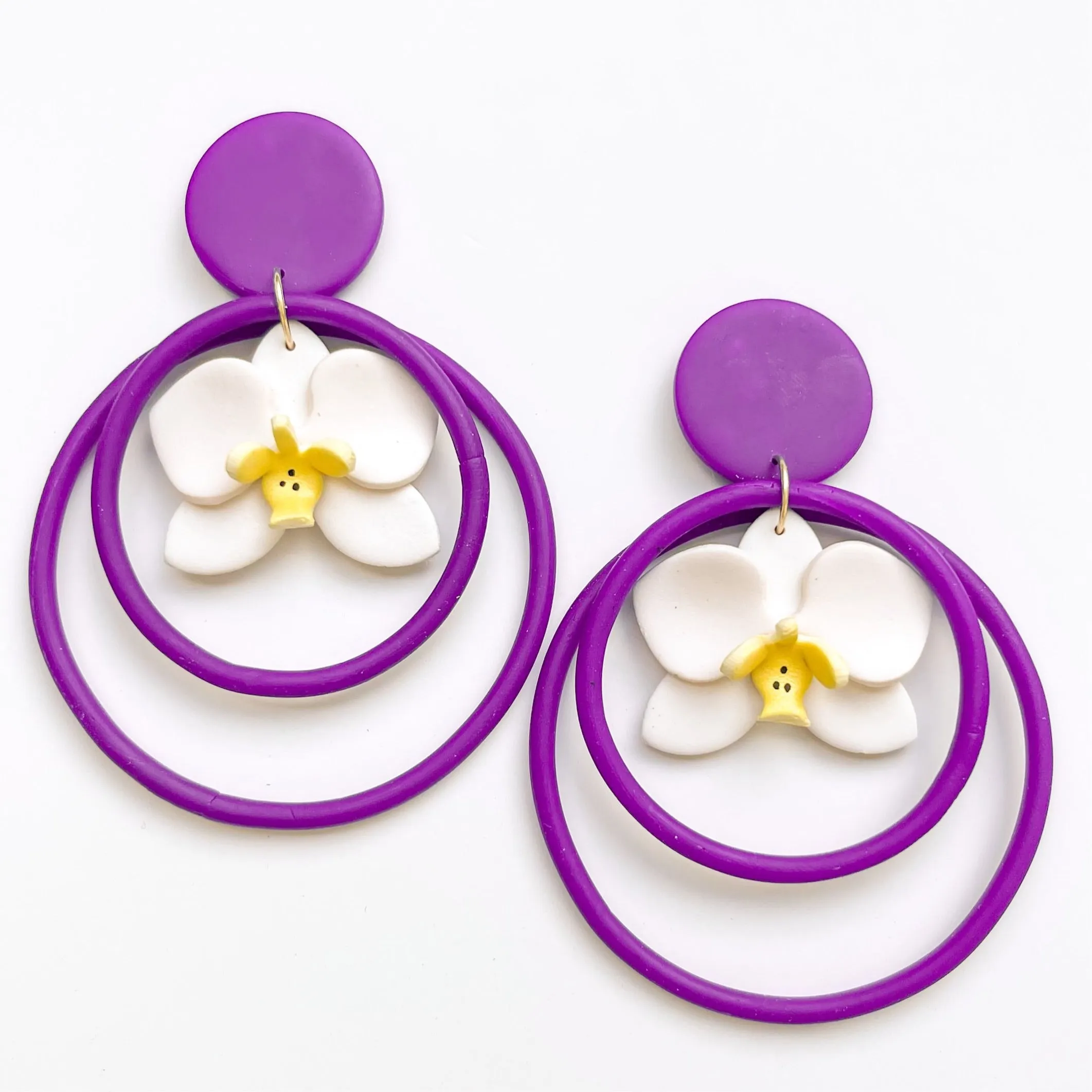 Phalaenopsis Hoops