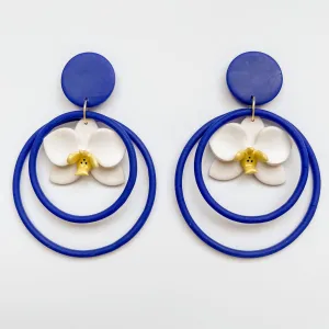 Phalaenopsis Hoops