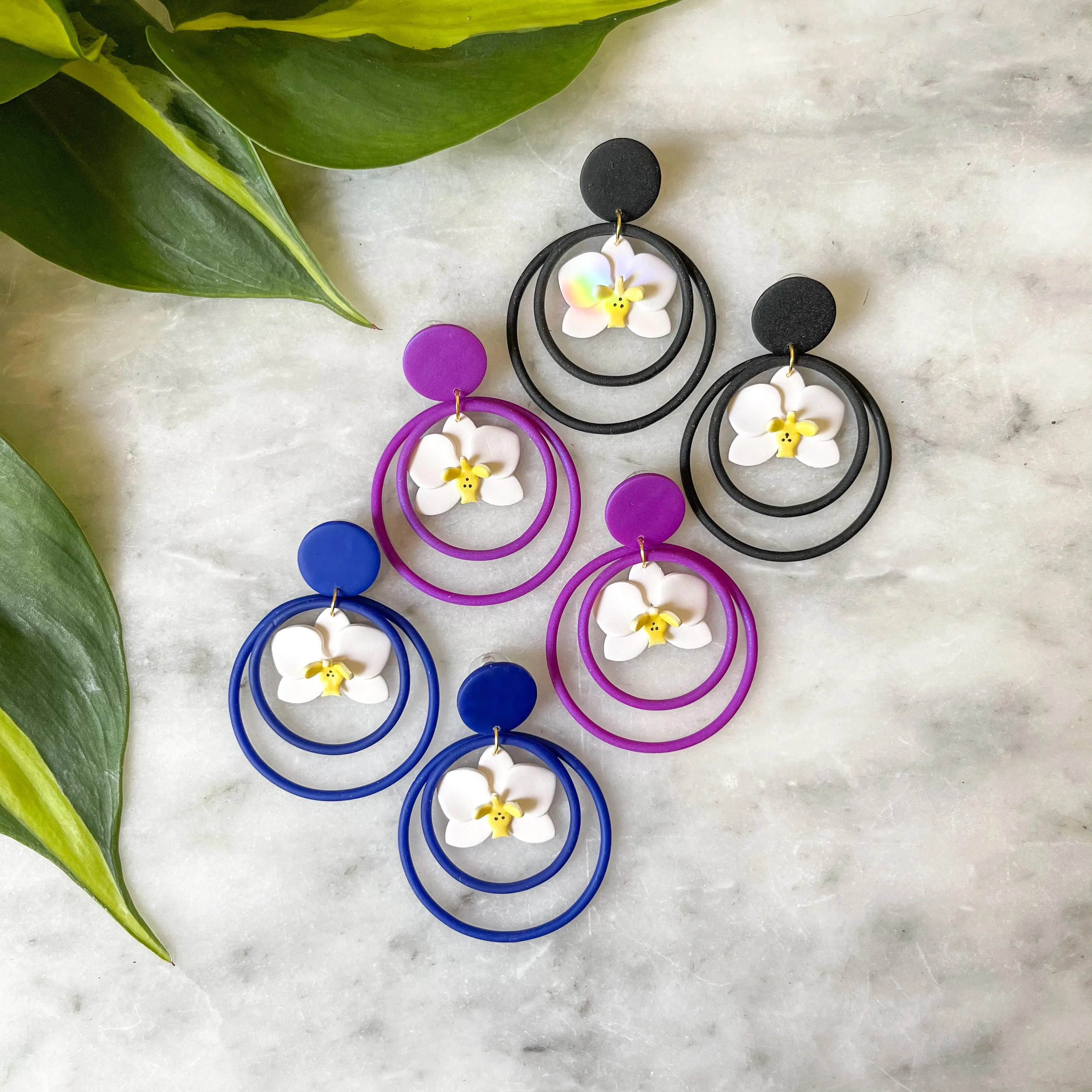 Phalaenopsis Hoops
