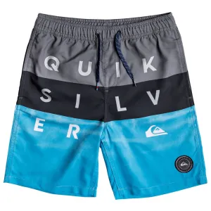 Quiksilver Boys Word Block Volley Youth 15 Boardshorts
