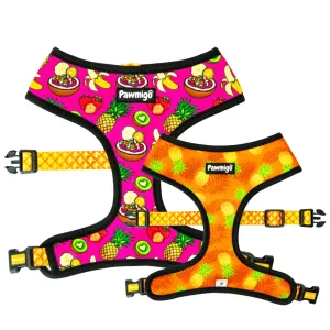 "Snack Shack" Reversible Harness