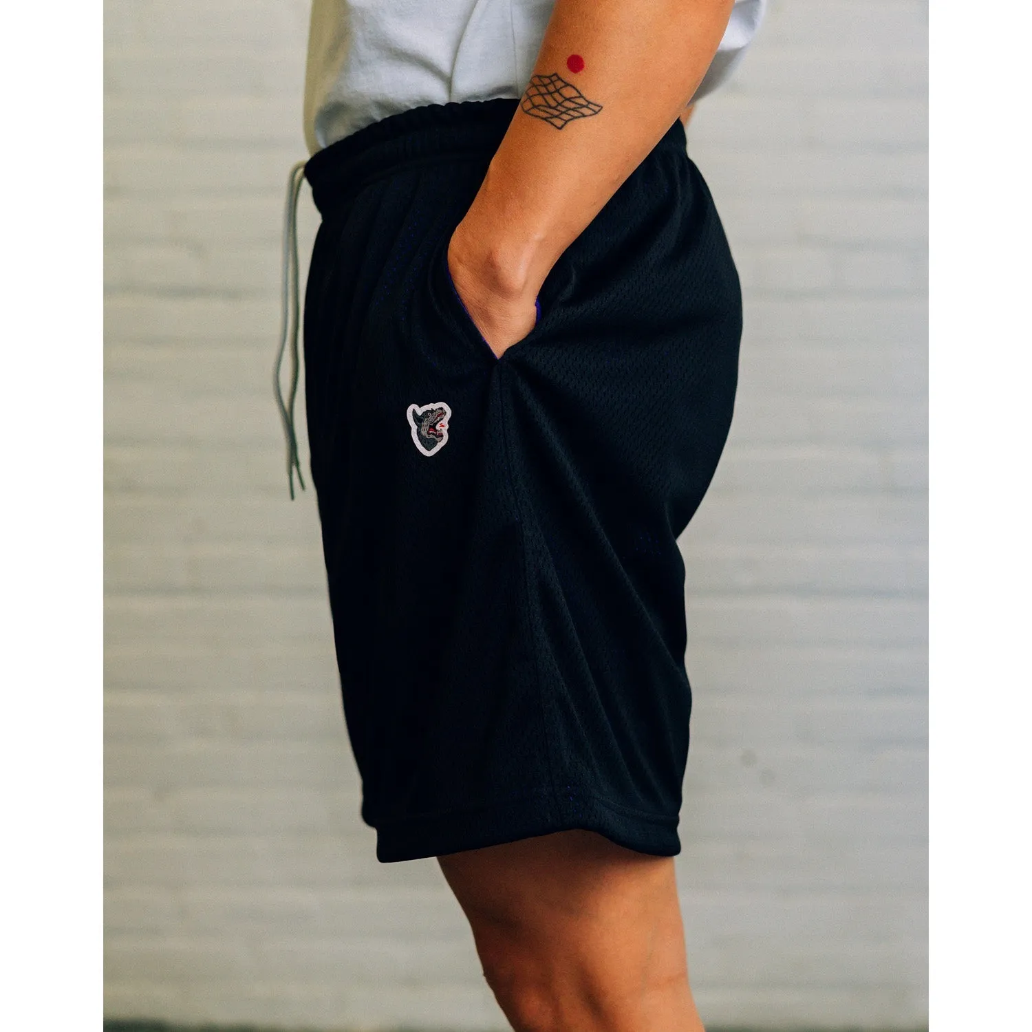 Raised By Wolves Men Two-Tone Mesh Shorts Black Purple