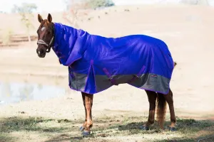 Ruby Rose Rainsheet Combo