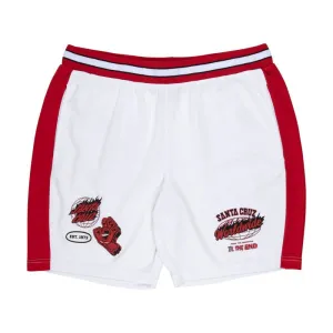 Santa Cruz Mesh Shorts TTE Worldwide - White