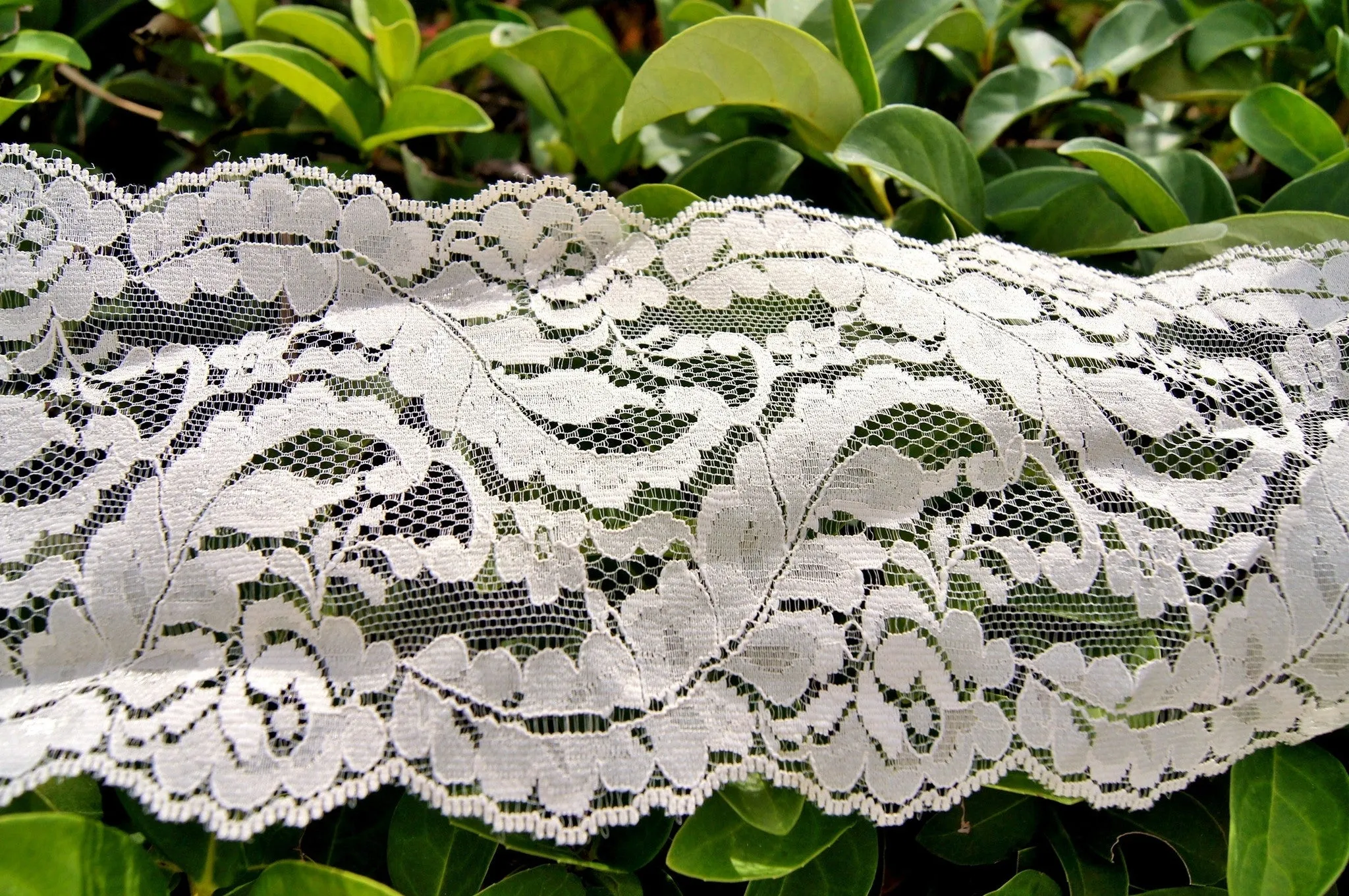 Swirl Leaf Soft Galloon Lace - Off White 5¼" wide