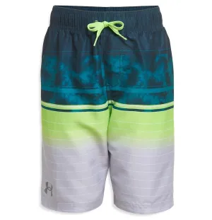 Under Armour Striped Volley Swim Short