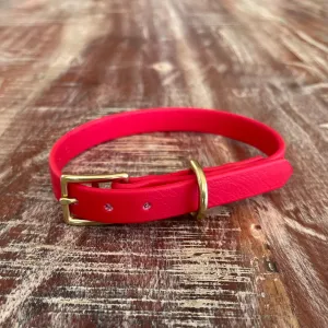 Waterproof Buckle Collar : Cherry   Brass